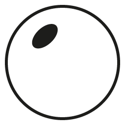 Lined-Bifocal Polycarbonate Lenses